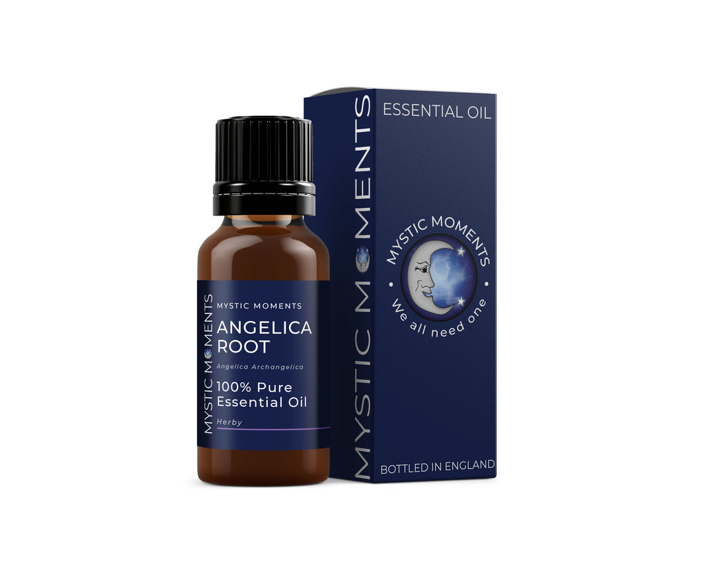 Angelica Root Essential Oil
